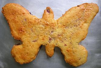 Butterfly Cake